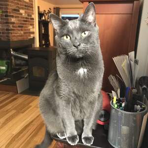 Fundraising Page: Joy Fletcher